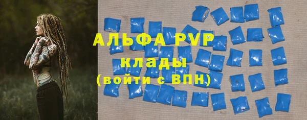стаф Снежинск
