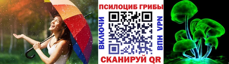 даркнет сайт  мега tor  Псилоцибиновые грибы Cubensis  Трубчевск 