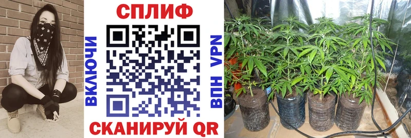 Бошки марихуана тримм  MEGA ТОР  Трубчевск 